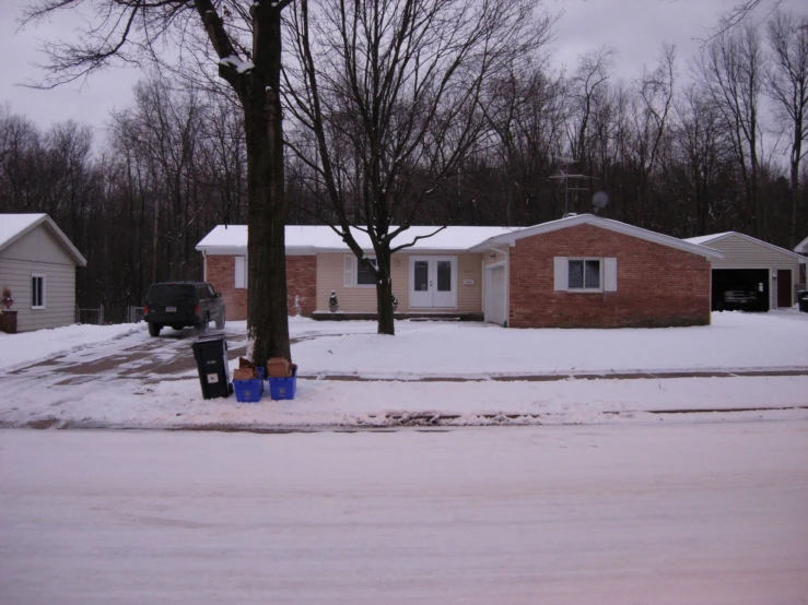 some trees in the middle of a snowy area