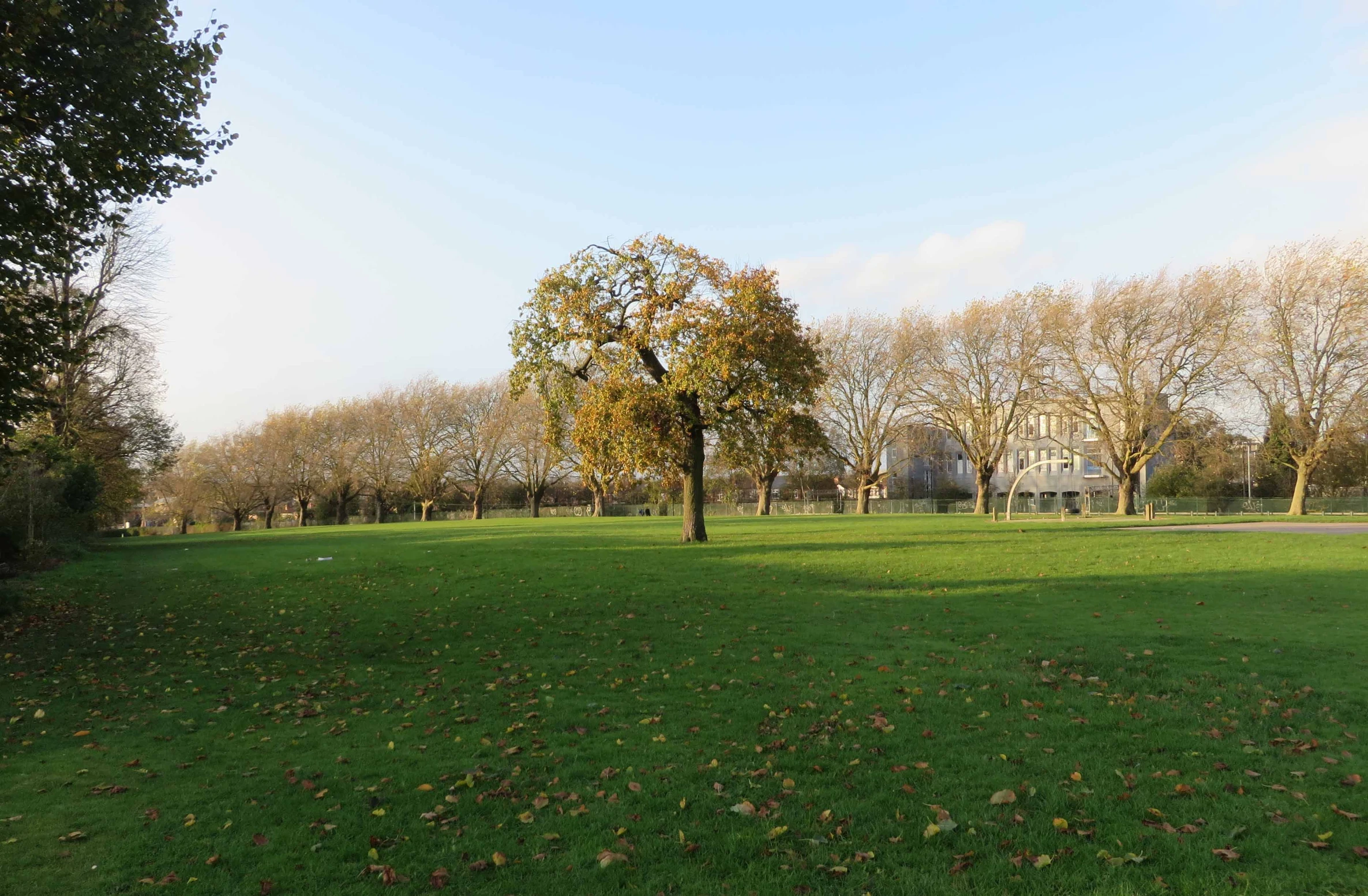 a field with grass and a large house in the background