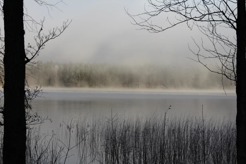 fog hovers over a body of water surrounded by dead grass