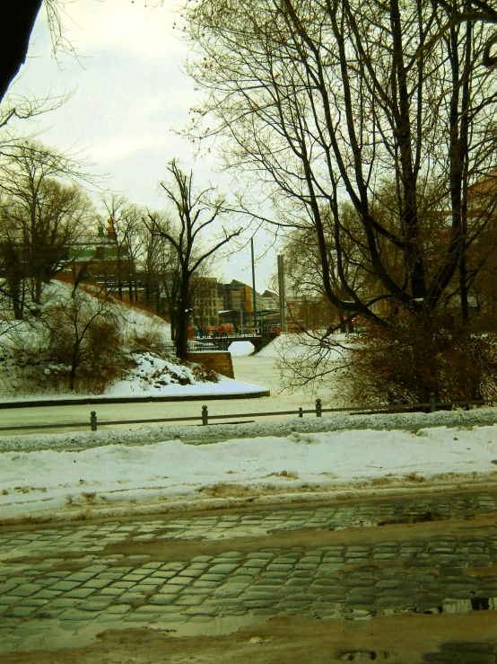 snowy scenery with trees and a road