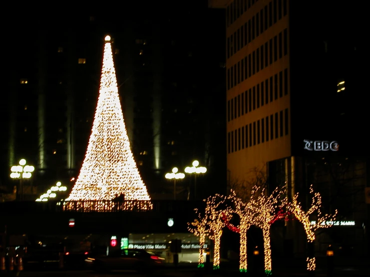 a large lighted christmas tree near the city