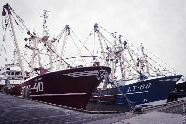 several boats docked together in a harbor