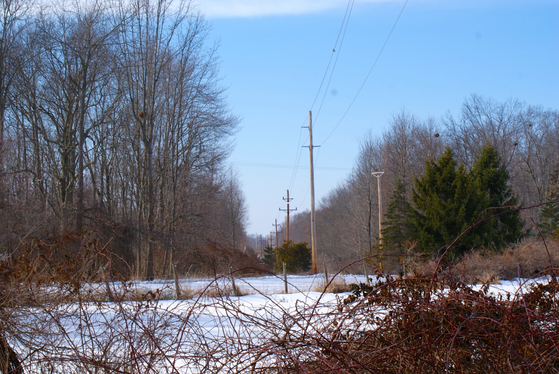 an old train track in the middle of winter