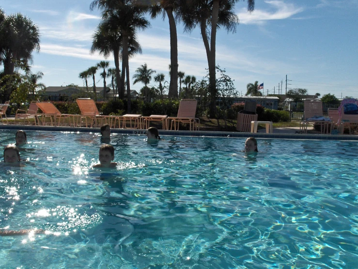 a beautiful swimming pool surrounded by palm trees