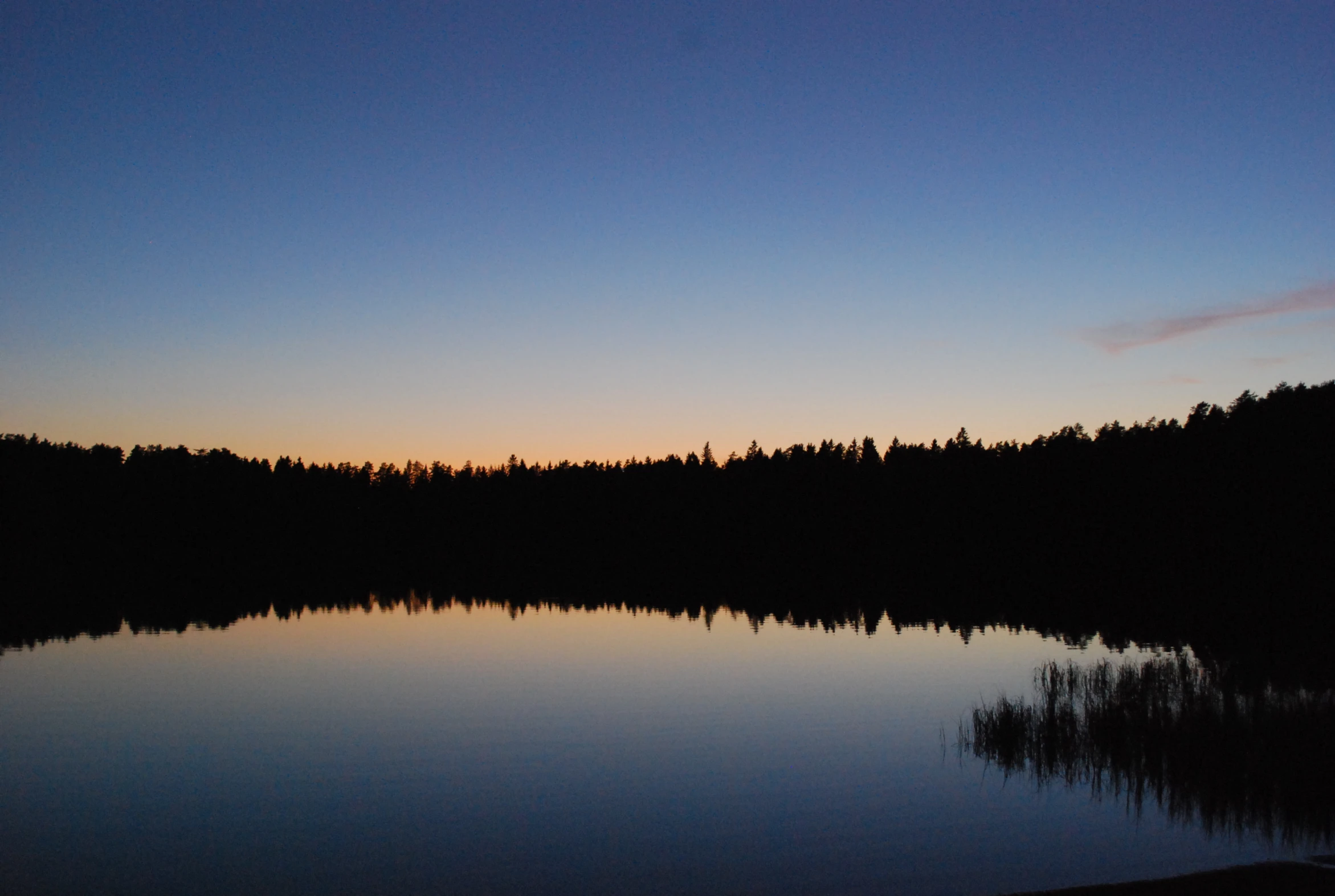 a lake surrounded by forest at night time