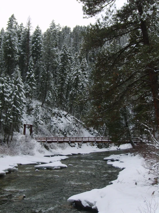 a snowy stream is next to trees and snow