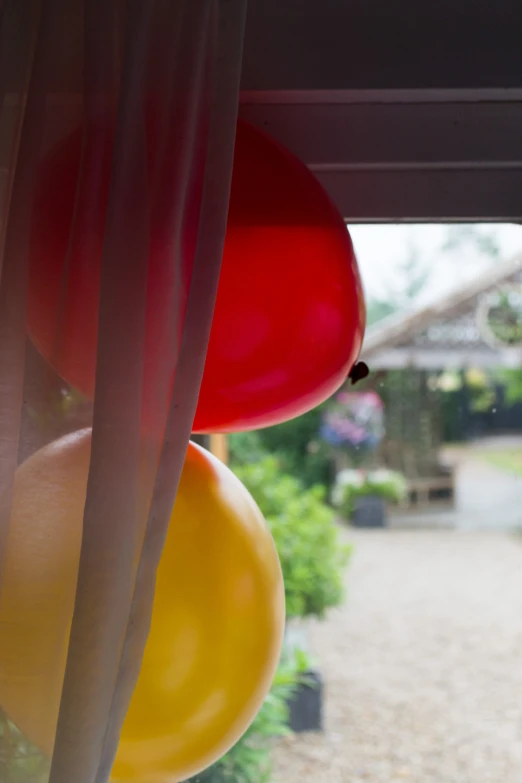 balloons hanging from a line at the back of a house