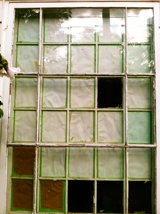 a cat laying next to a broken glass window