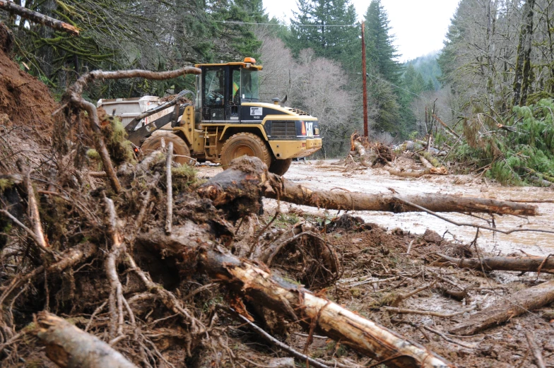 a truck drives through mud and trees with logs on top