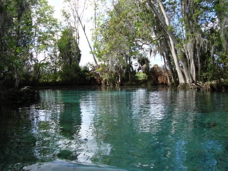 the water of the river is crystal blue