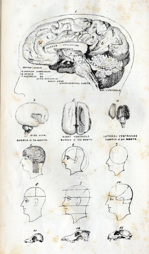 the diagram for the diagram of the in