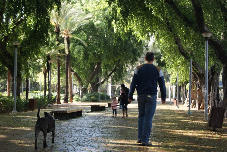 there are two dogs walking on the street