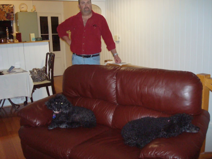 a man stands near the couch with his two dogs