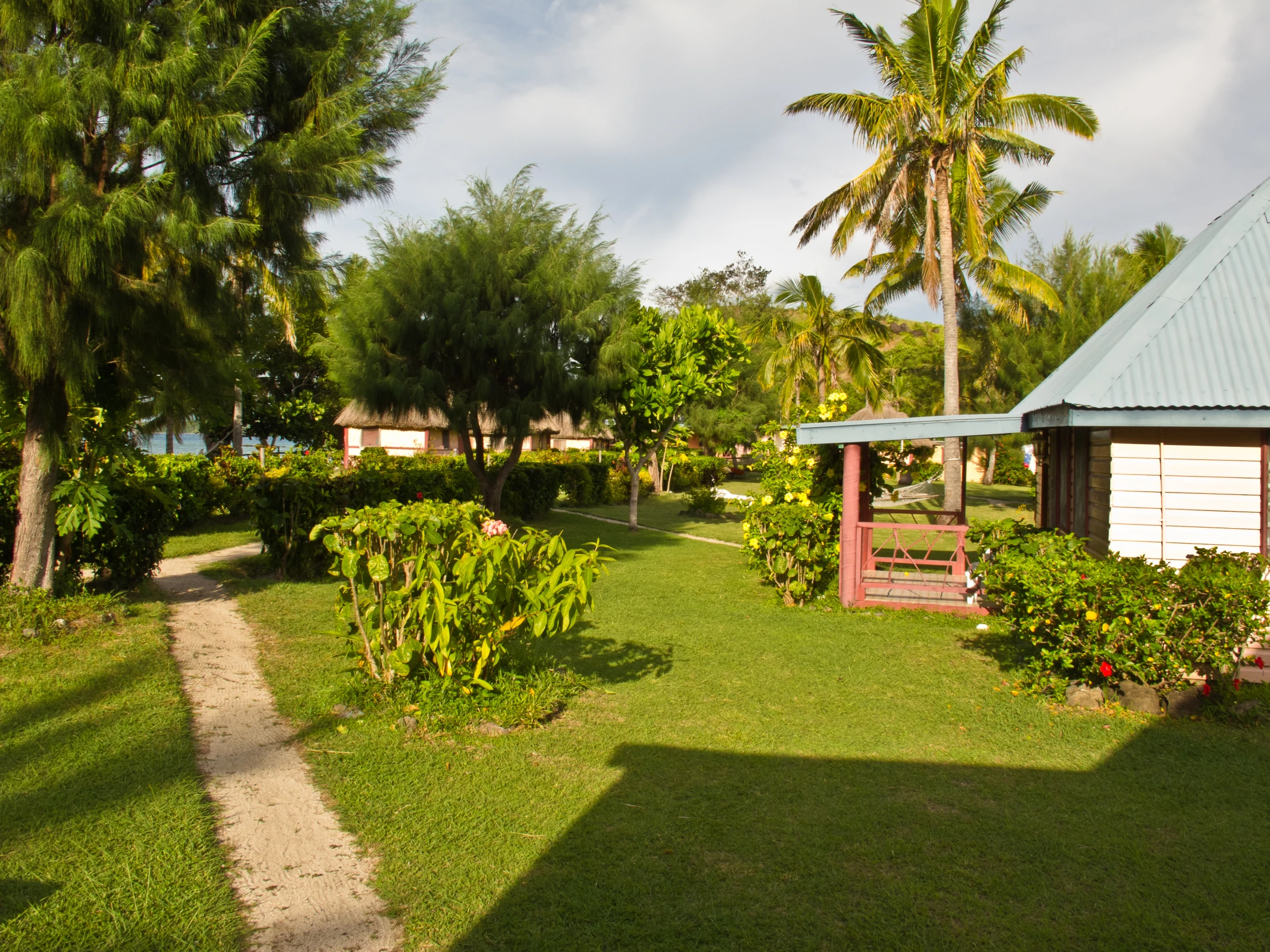 an area with a house and trees with palm trees in the background