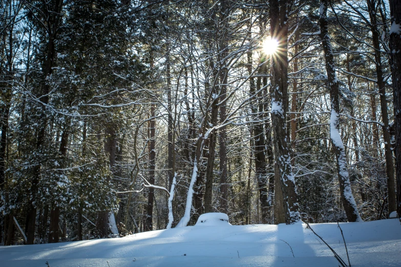 there is sun in the middle of a snowy area