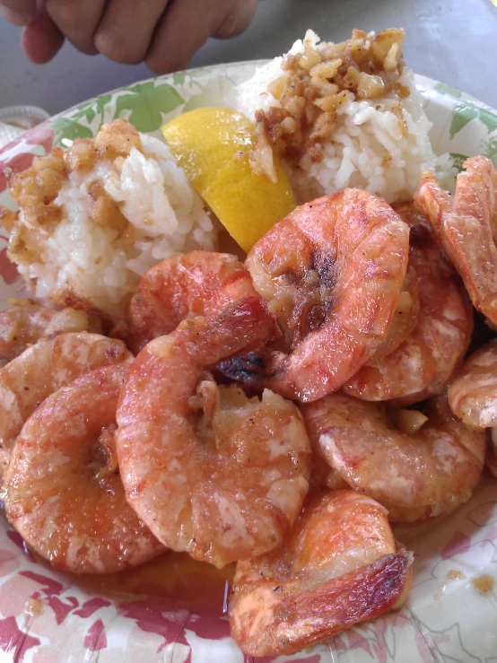 a close up of a plate of food with rice