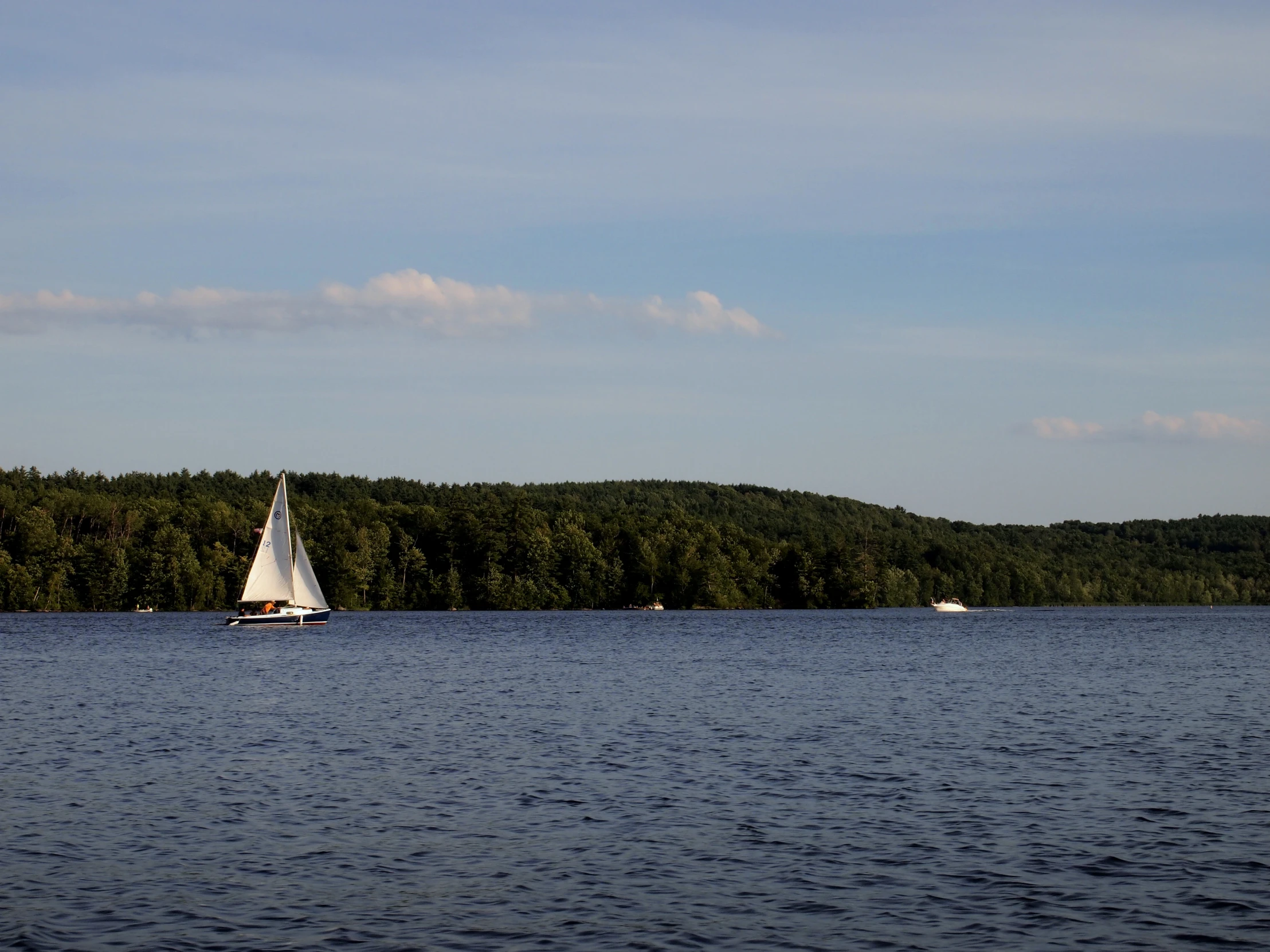 a boat is floating on the water by a forest