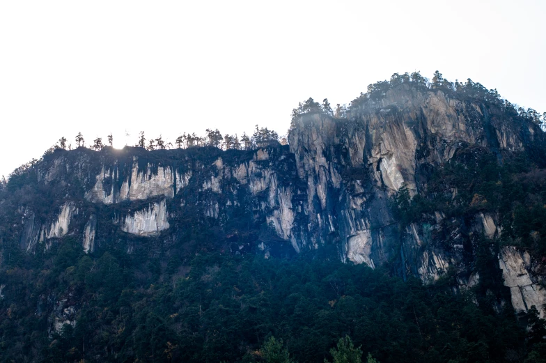 a mountain with a tree on the top