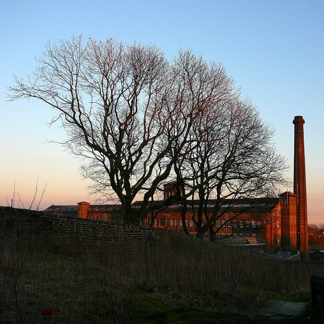 the back and rear of a brick building, with a tree in front of it