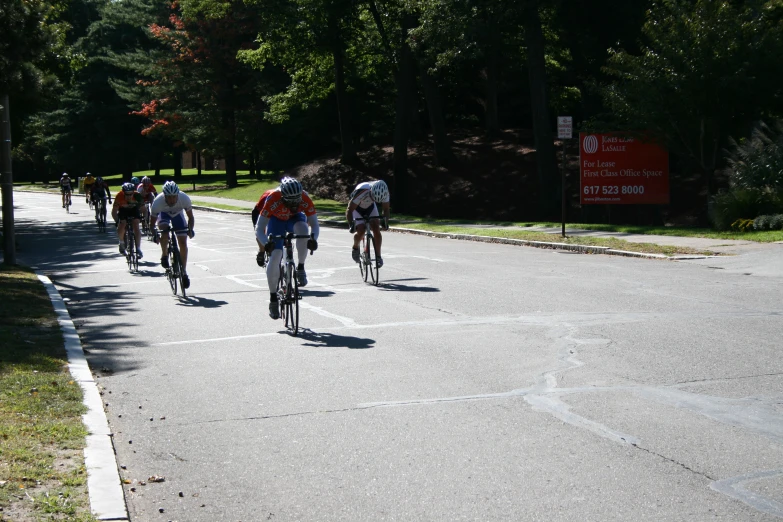 several people riding bicycles in a road with trees