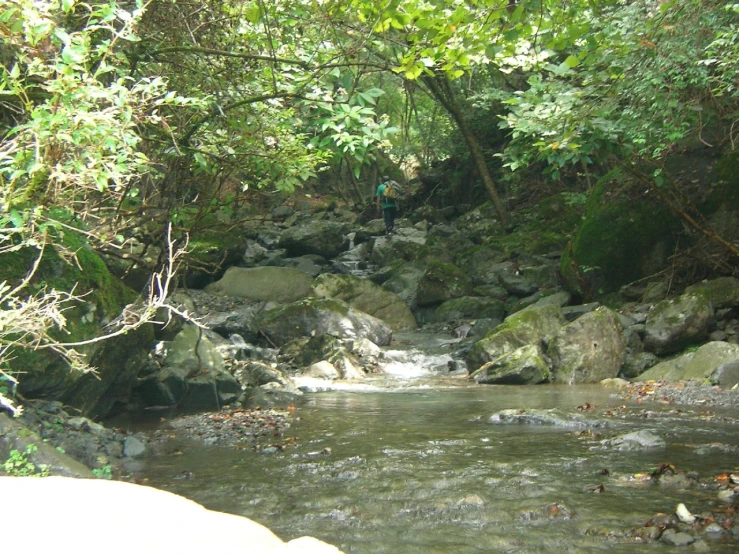 a man standing in a stream near some rocks and plants
