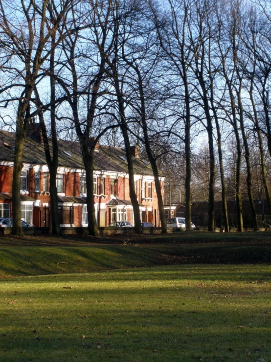 the large brown house sits among the trees