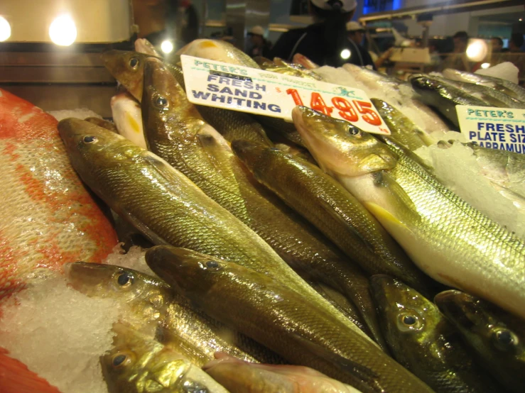 fresh fish are on sale in a market