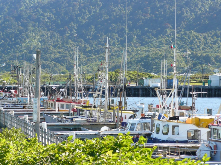 the boats are lined up at the dock