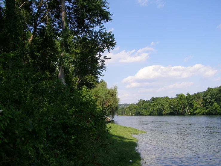 a river next to green bushes and trees