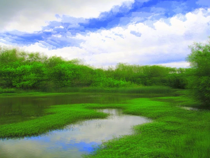 an image of a beautiful landscape with green grass and water