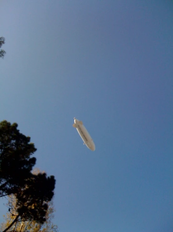 a kite flying in the blue sky near many trees