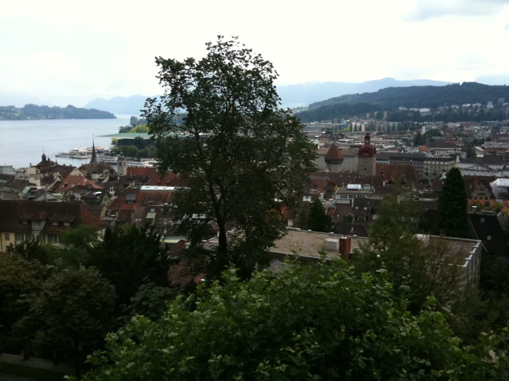 a city skyline with trees in the foreground and a large body of water in the background