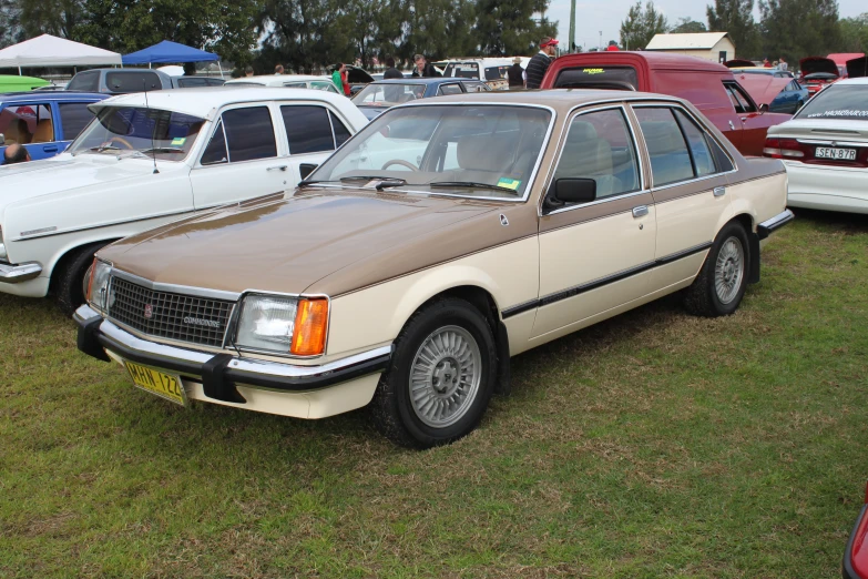 several older vehicles sit parked on the grass