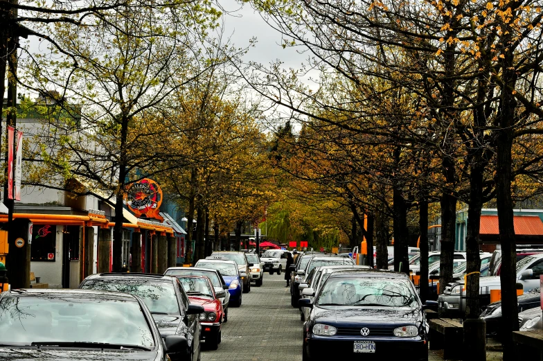 parked cars on a sidewalk with trees on both sides