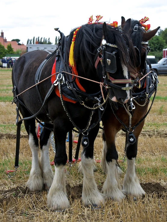 two large horses pulling a cart full of people