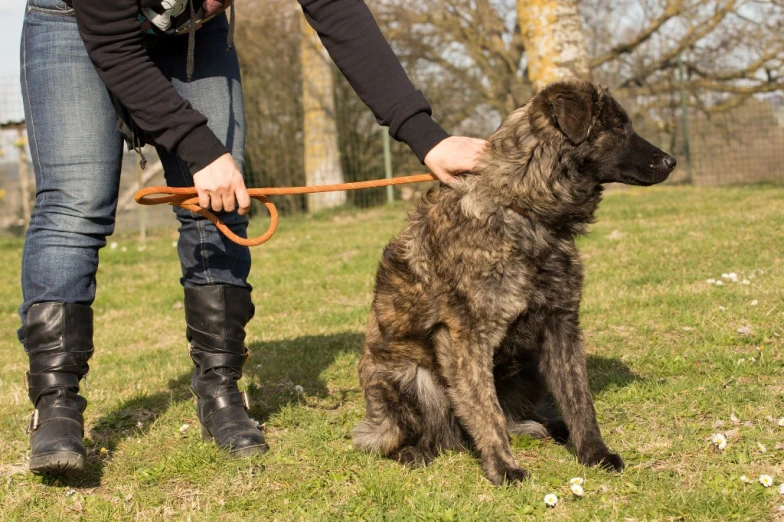 a woman holding an leash while walking her dog on a leash