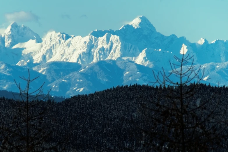 the snow covered mountains in the distance are viewed from the forest