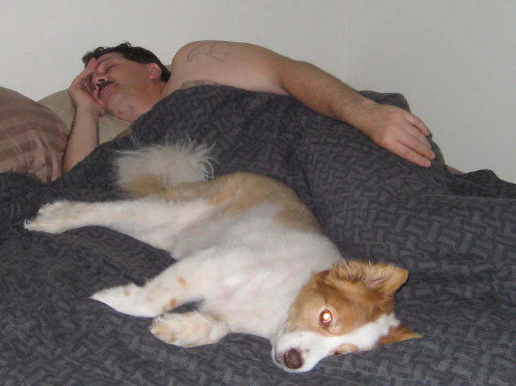 a man in bed with his dog sleeping