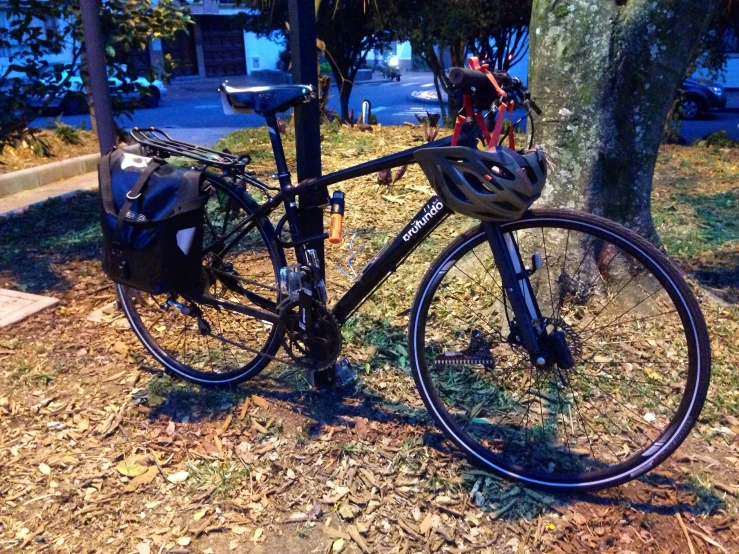 a bicycle parked near a tree on the grass