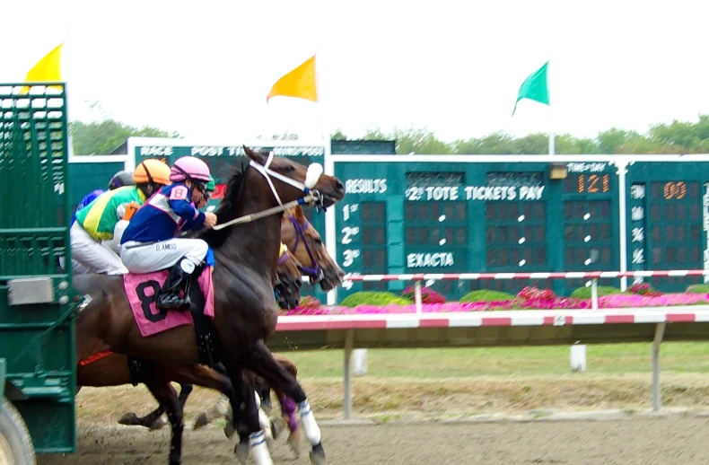 jockeys riding horses through a track in a horse race