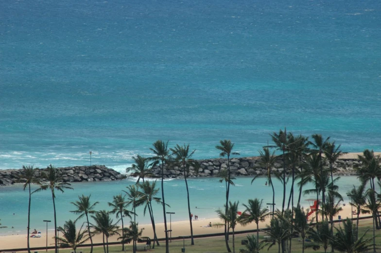 an ocean beach next to the palm trees