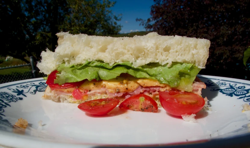 an image of sandwich made of meat, vegetables and cheese