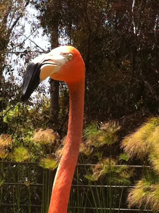 a large flamingo that is sitting in the grass