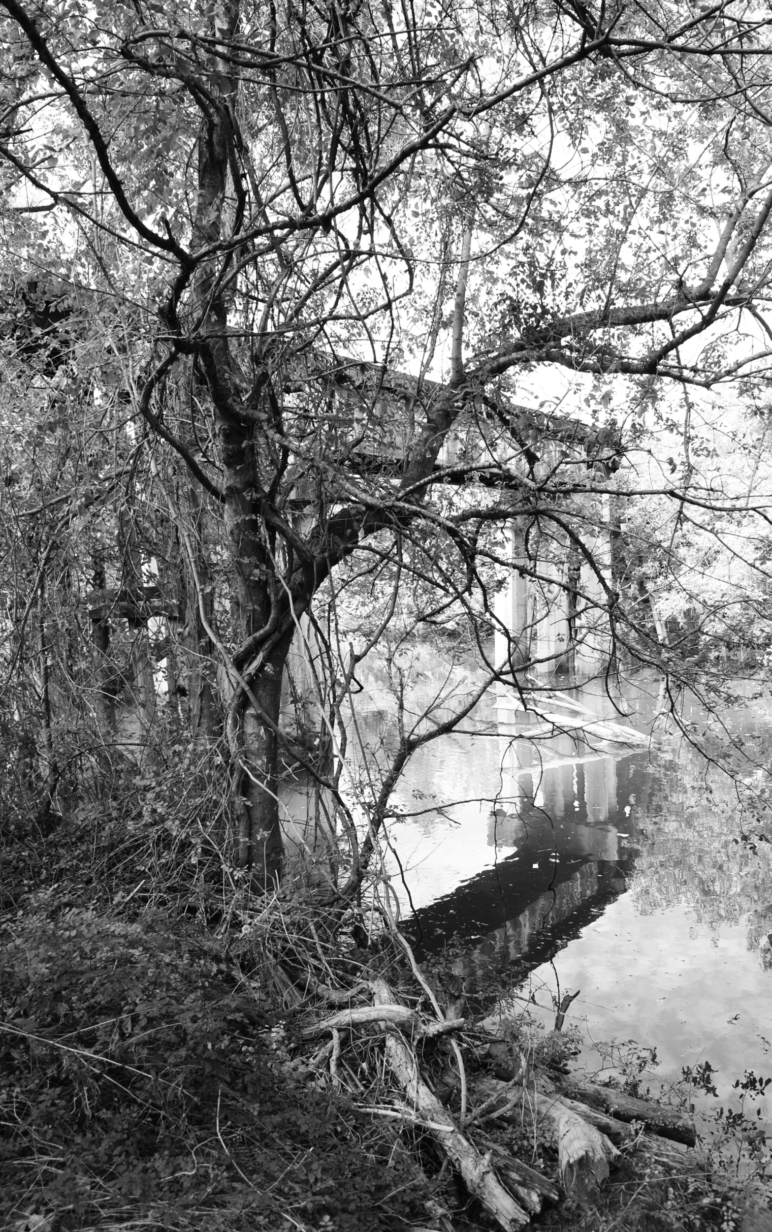 a black and white po of a path by a body of water