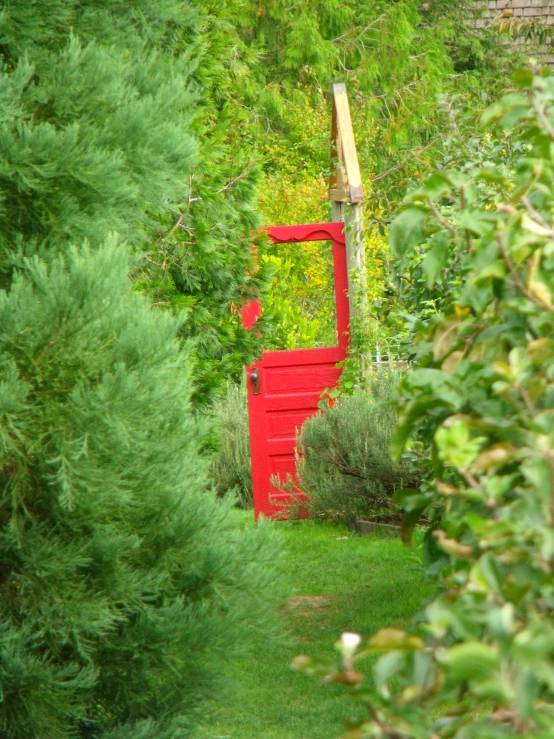 an outdoor area with trees and bushes and red, outdoor bench