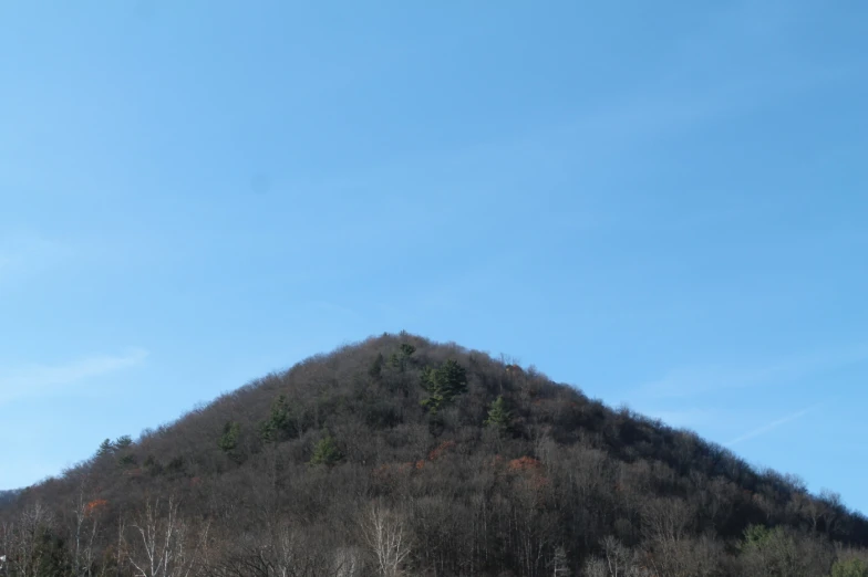 a large brown mountain covered in a forest