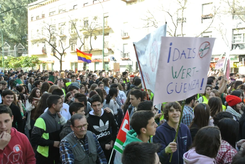 a large group of people walking and holding flags