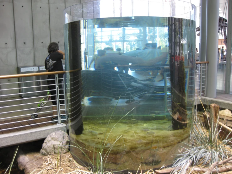 an aquarium and other wildlife is being fed by people