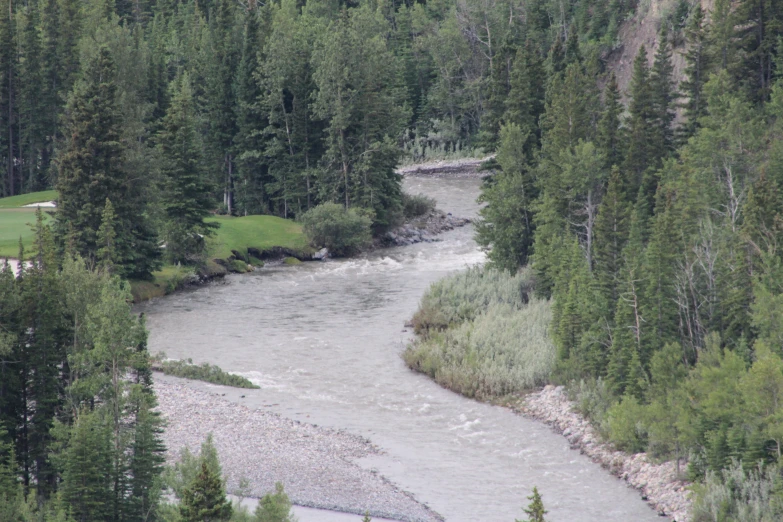 a stream running through a green wooded valley