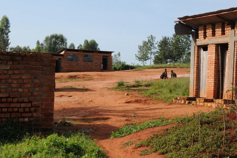 two black birds near brick buildings in the field